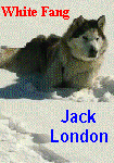 White Fang by Jack London